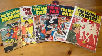 The Marvel Family Lot 1