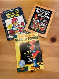 Woody Woodpeckers Back To School Lot