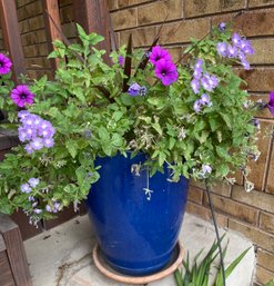 Blue Ceramic Pot With Flowers