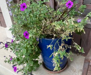 Blue Ceramic Pot With Flowers