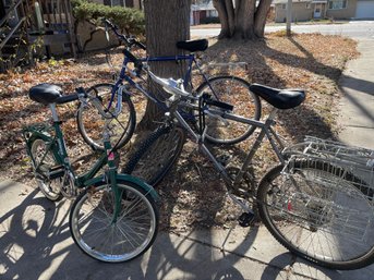 Family Bike Lot Including Randor Traveling Folding Bike