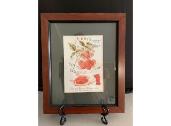 Framed Purdy's Seed Catalog Framed Artwork