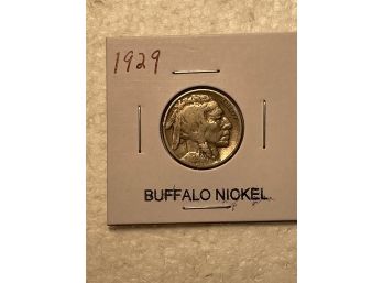 Buffalo Nickel 1929