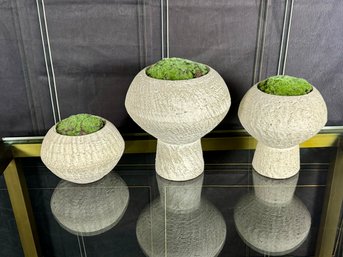 Collection Of Faux Moss In Ceramic Pots