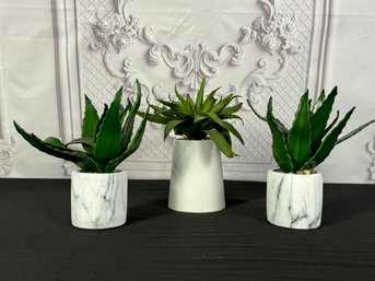 Trio Of Faux Aloe Plants With Stone Vases