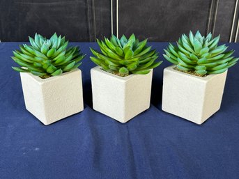 Collection Of Three Faux Succulents In White Stone Containers