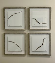 Collection Of Four Signed Distressed Framed And Numbered Abstract Seagull Prints - Signed By Cole