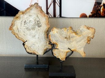 Pair Of Petrified Wood On Stands - Made For Moe's