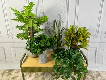 Collection Of Four Small Faux Plants