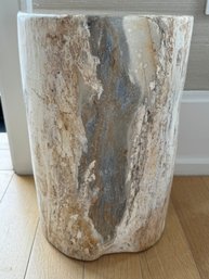 Petrified Wood Side Table