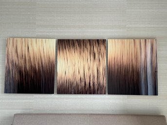 Set Of Three Abstract Photographs On Acrylic