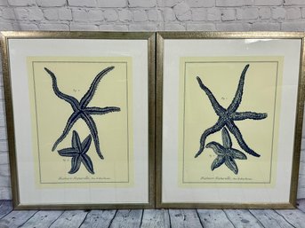 Pair Of Framed Beach Bunglaow Botanical Indigo Starfish Prints