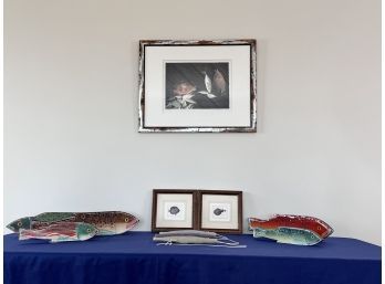 Collection Of 5 Wood N Fish Co And Signed Numbered Framed Photograph 10/350 - DeGroom