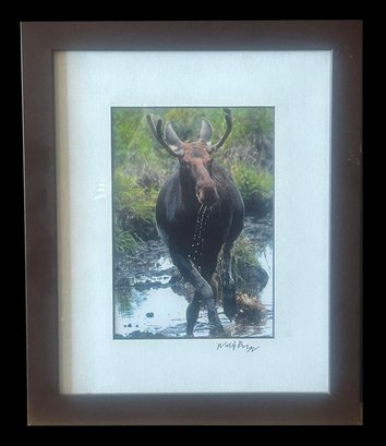 Framed Color Photograph Of Moose Crossing Shallows Of Marshland Signed By Walter Buczacz, 9.25' X 1125'H
