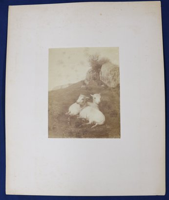 Photograph By William Morris Hunt (1824-1879 - Hunt Was A Famous American Artist