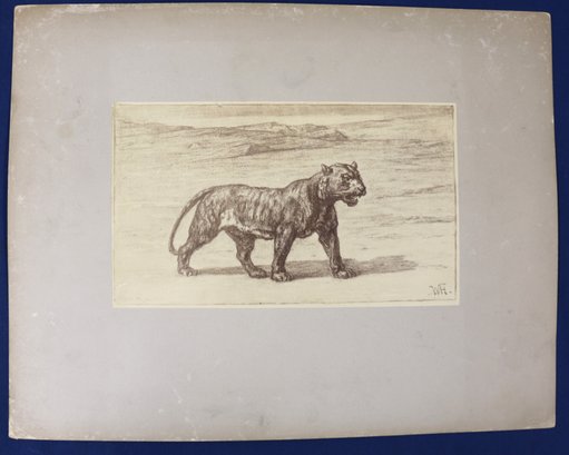 Photo Of A Work By William Morris Hunt - Noted American Artist - Untitled Large Predatory Feline