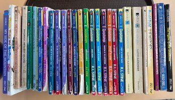 28 Vol Lot - Paperback Books, Includes Goosebump, My Side Of The Mountain And Others