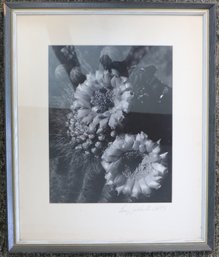 Original Photograph 'Desert Corsage' By Senator Barry Goldwater - Signed By Barry Goldwater