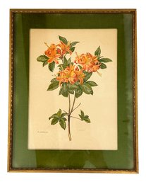 Vintage Velvet Matted And Framed Pencil Signed Floral Print, By Carlos Von Riefel,  15.75' X 20'H