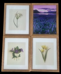 4 Pcs Lt Oak Framed Floral Prints, 3 Signed, Each 12.25' X 15.5'H