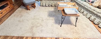 8' X 10' Taupe Area Rug