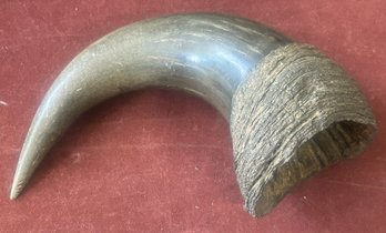 Antique Buffalo (?) Horn, 4' Diam. X 9'