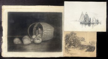 3 Pcs Original Artwork By H. Pearson, Charcoal Basket Of Pears25' X 19' And 2 Pen & Ink Drawings