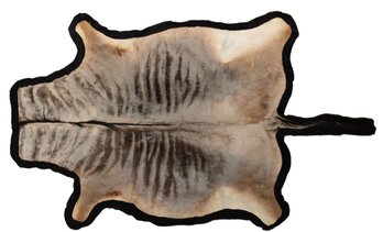 Beautiful African Wildebeest Full Body Tanned Hide On Felt Backing