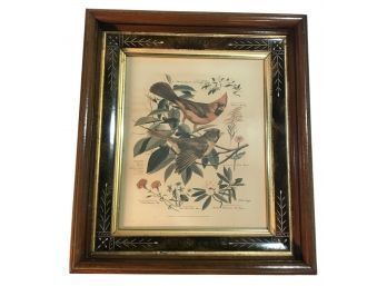 Spectacular VIctorian Carved Frame With Print Of Birds And Plants By Arthur Singer