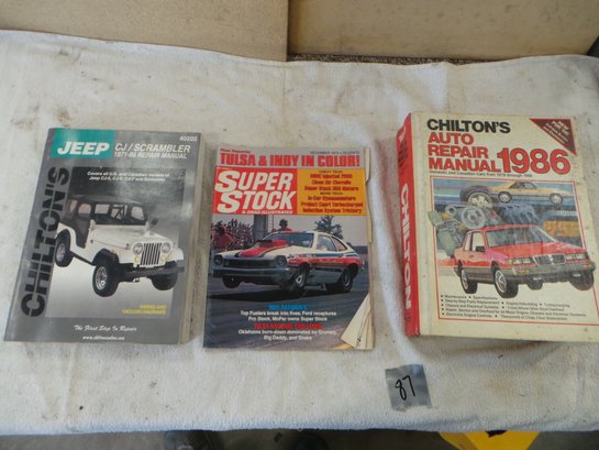 Lot # 87 - Chilton's Repair Manuals  - See Pics -  Reference Books
