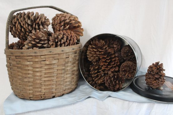 Woven Vintage Basket With Wrapped Handle & Many  LARGE Pine Cones And A Tin Of Other Pine Cones