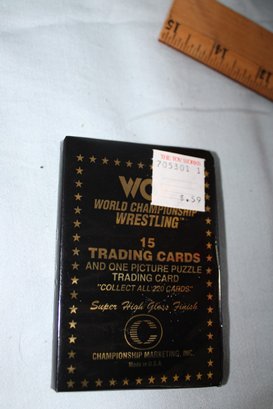 1991-WCW  - WORLD CHAMPION WRESTLING CARDS, 1 Unopened Pack, 15 Wrestling Cards, Super High Gloss, Turner