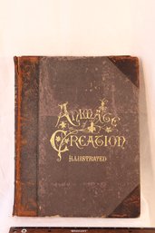 1894 Book- Animate Creation  'our Living World' American Zoology / Rev. J.G.Wood/printed 1894 Selmar Hess NY