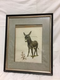 Framed Vintage Donkey 19x23