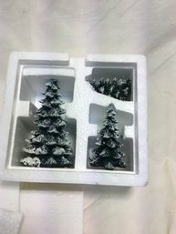 Studio 56 Evergreen Trees In Box