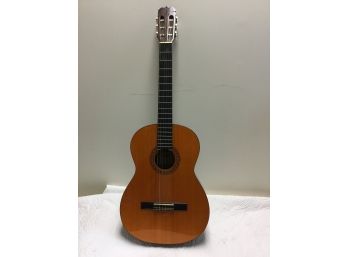 Matao MC1 Guitar In Case